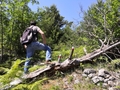 featured image thumbnail for post Anello Erli - Praetto